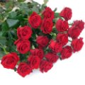 Mazzo di rose rosse a gambo lungo