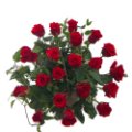 Bouquet assortito di rose rosse a gambo corto.