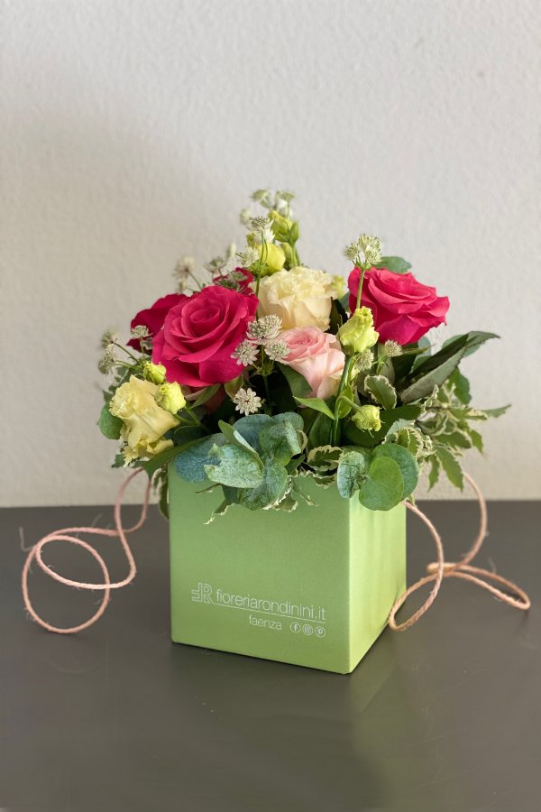 Foto Box di fiori misti · Salvia, cm 13x13