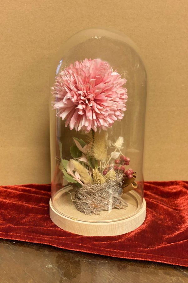 Cloche in vetro con elementi artificiali e essiccati · Rosa